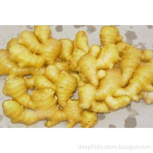 Big Bright Yellow Fresh Ginger In Richful Of Vitamin , Prot